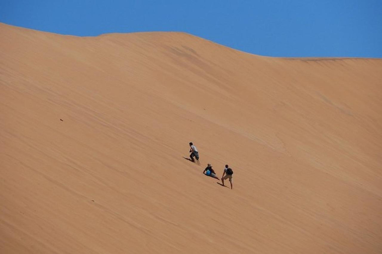 Tour privado por lo más destacado de Walvis Bay