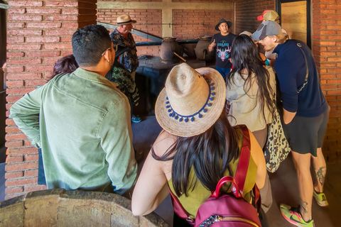 Mezcal, Agave, and Pulque Tour in Oaxaca