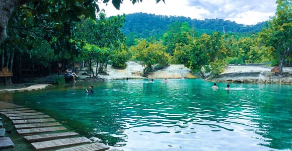 Wooden plank walkway leading into the shallow green water of the Emerald Pool, surrounded by forest