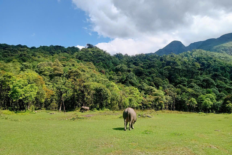 Chauffeured Ride to Silver and Love Waterfall, Lonely Tree