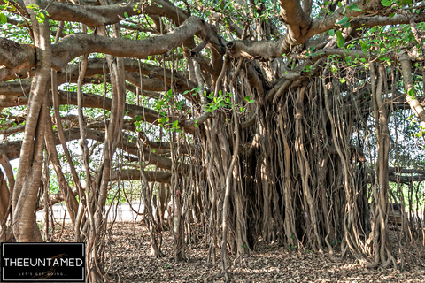 Signature Heritage & Cultural Experience of Bengaluru