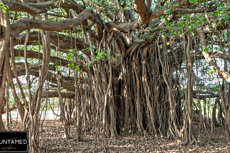Signature Heritage & Cultural Experience of Bengaluru