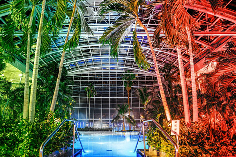 Therme Bucharest Wellness & Spa with Transfer & Entry Ticket