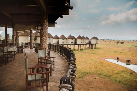 Overnight Saltlick Safari from Mombasa or Diani