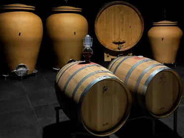 Besuch eines Bio-Weinguts in der Nähe von Turin mit Wein- und ...