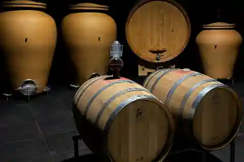 Visita a uma adega orgânica perto de Turim com prova de vinhos e comida