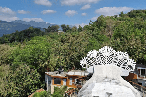 Desde Yogyakarta: Borobudur, Iglesia del Pollo y Templo de Mendut