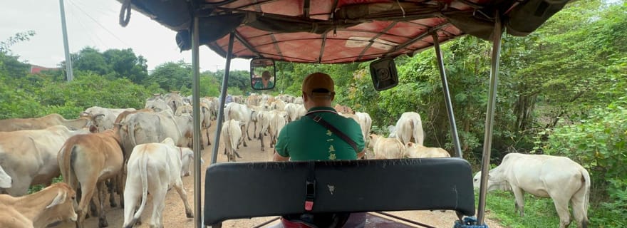 Visite partagée de Battambang, de ses environs et de ses lieux d'intérêt