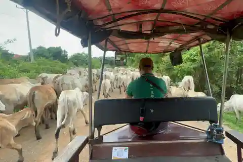 Passeio à tarde por Battambang, área local e pontos de referência