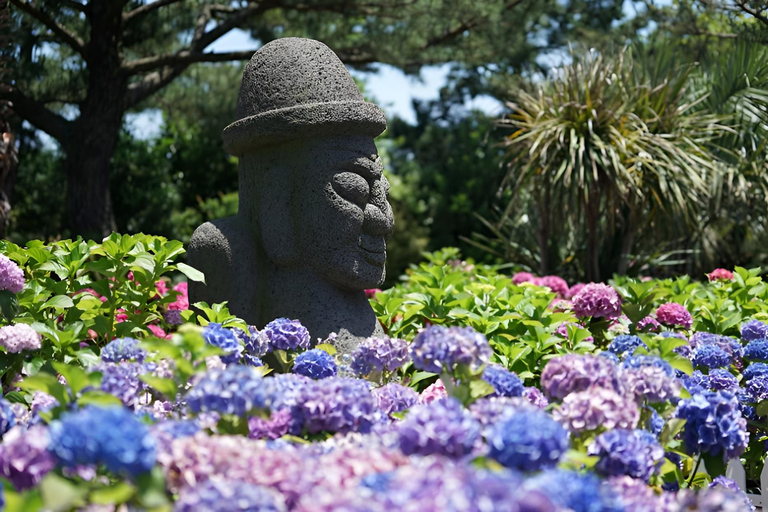 Circuit du festival Hydragea de Jeju : Itinéraire EST