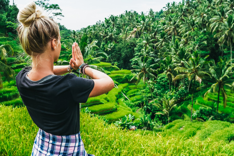 Ubud: tour de las epectaculares cascadasTour de cascadas con arrozal y columpio en la selva