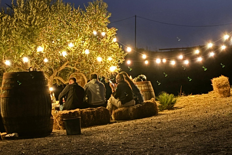 Romantic Experience with horses in the Natural Reserve WWF