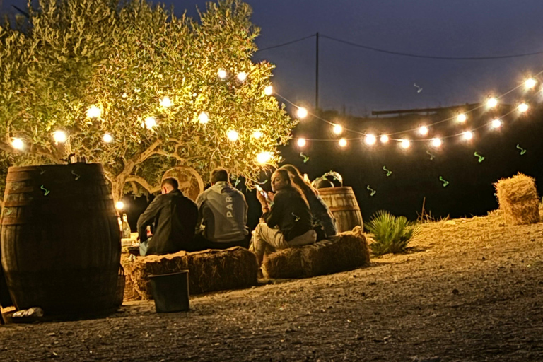 Romantic Experience with horses in the Natural Reserve WWF