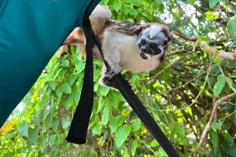 Panamá : Tour en bateau et faune sur le lac Gatun