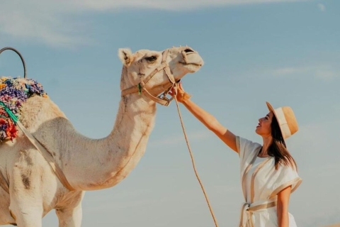 Marrakesh: premium dagtrip naar woestijn Agafay en Berberdorpen