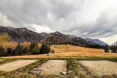 Sinaia Hike With Happy