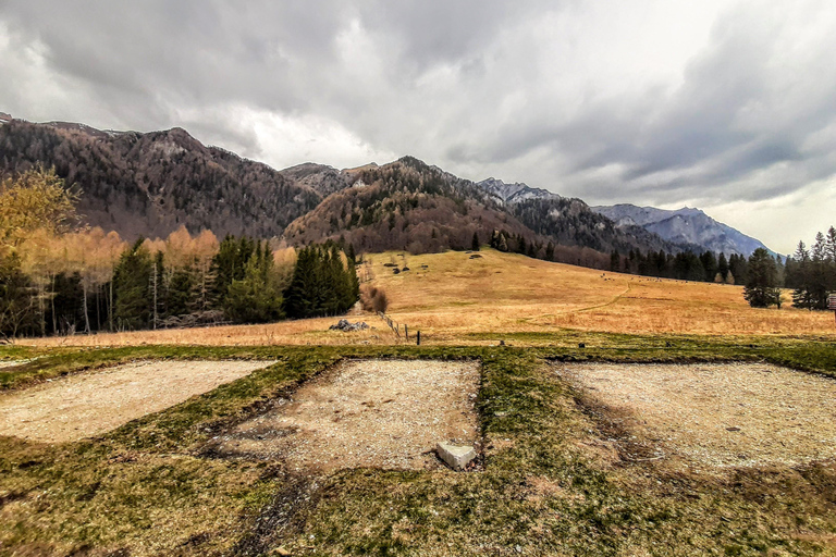 Sinaia Hike With Happy