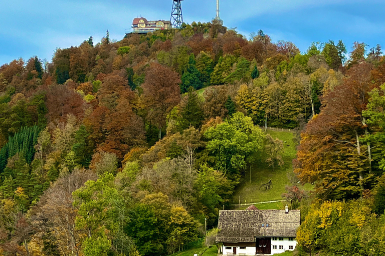 Teleférico de Zúrich paisaje panorámico lago de Zúrich comodidad