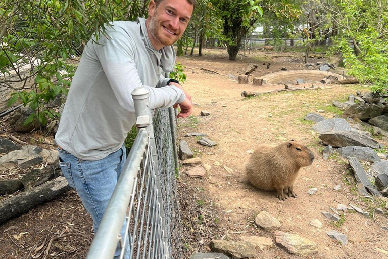 Vanuit Adelaide: Knuffel een Koala en historische Hahndorf Tour