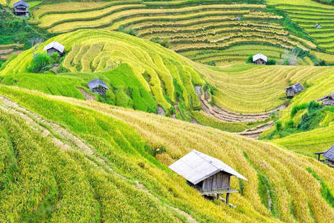 2 Day Trekking In Pu Luong Loop & Overnight At Homestay Start from Hanoi - Pu Luong