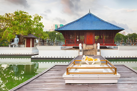 From Colombo: 5-Day Private Sri Lanka Tour with Driver
