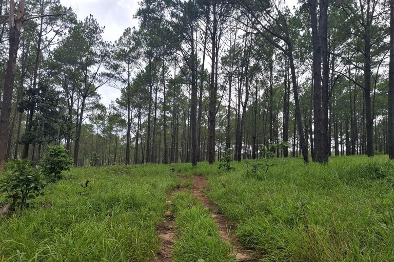 Phnom Penh: Kirirom National Park Day Trip with Lunch