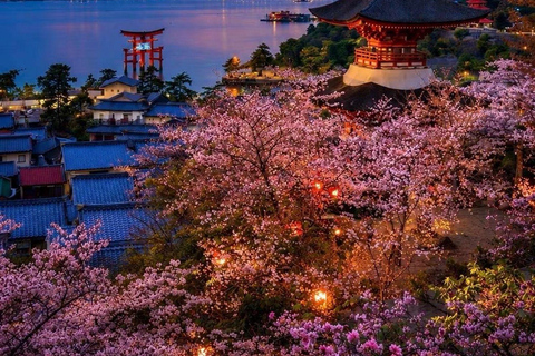 Kyoto & Osaka: Private Customizable Day Trip with Guide