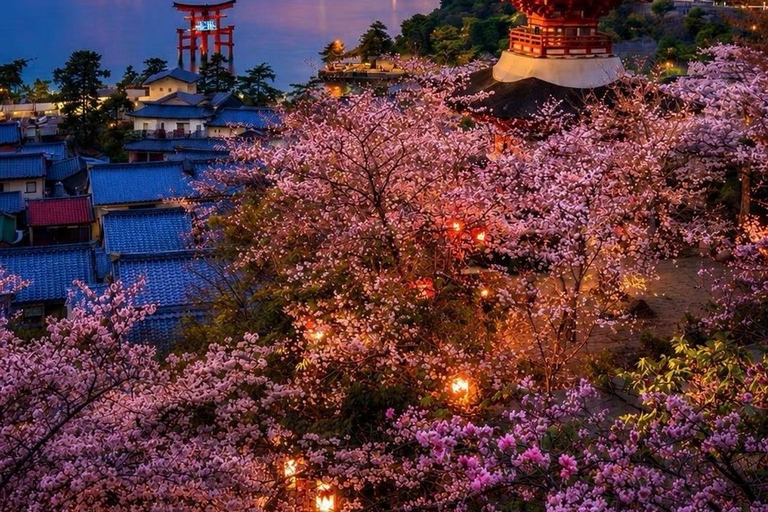 Kyoto & Osaka: Private Customizable Day Trip with Guide
