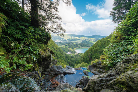 São Miguel: Furnas Half-Day Tour
