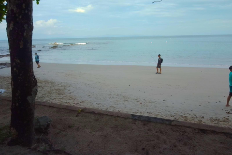 Playa Mantas: Tour guiado de mergulho com snorkel pela manhã perto da praia de JacóPraia Mantas: Tour guiado de mergulho com snorkel pela manhã perto da praia de Jacó
