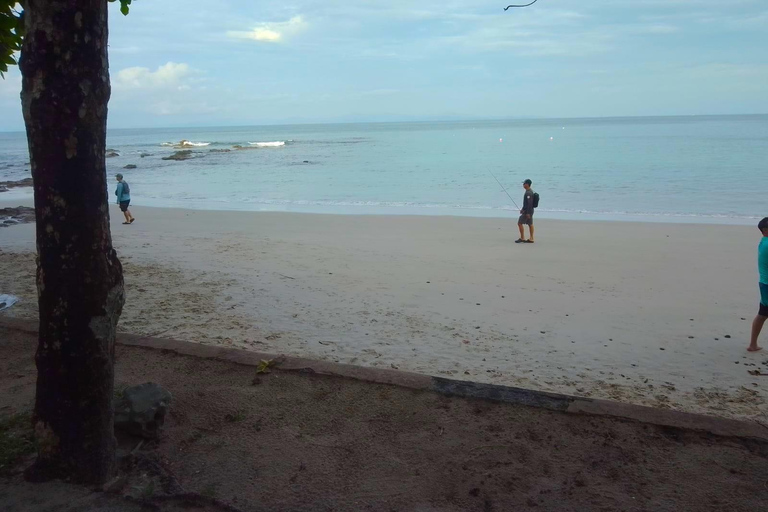 Playa Mantas: Tour guiado de mergulho com snorkel pela manhã perto da praia de JacóPraia Mantas: Tour guiado de mergulho com snorkel pela manhã perto da praia de Jacó