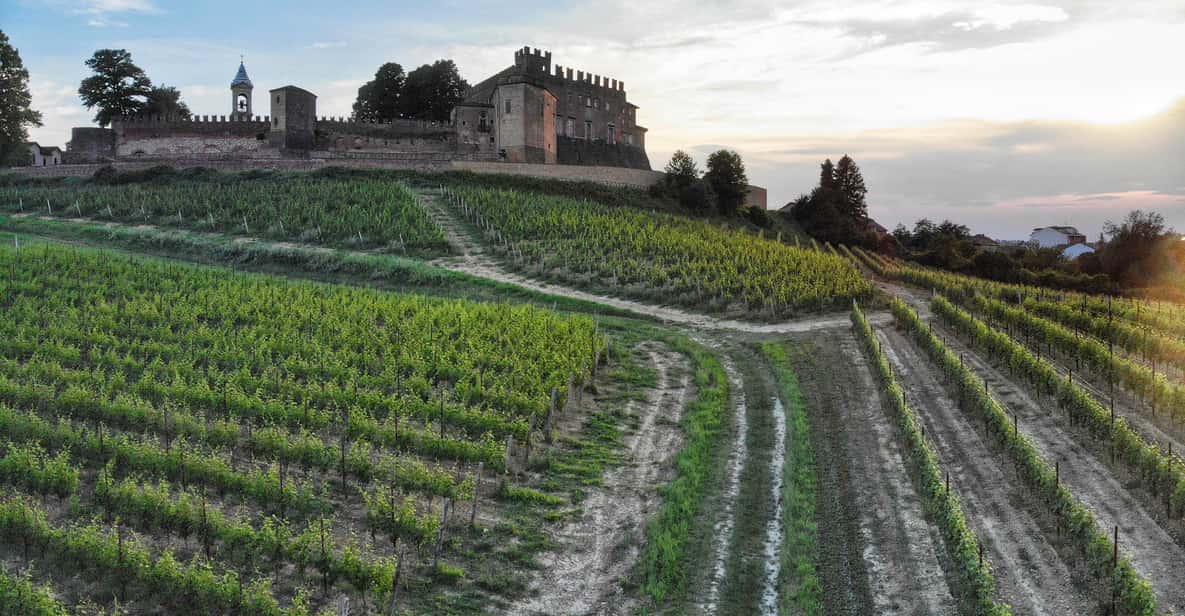 Afbeelding 1 van Monferrato: begeleide tour met MTB E-Bike om de wijngaarden te ontdekken