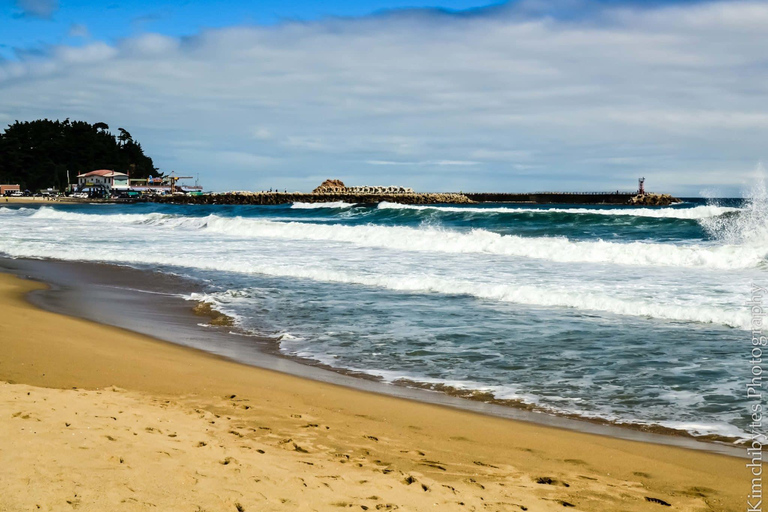 From Seoul: Mt Seoraksan, Naksansa Temple, Sokcho Beach Tour Private Tour – Per Person