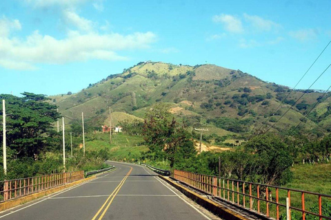 Whale Watching &amp; Safari Tour to Montaña Redonda