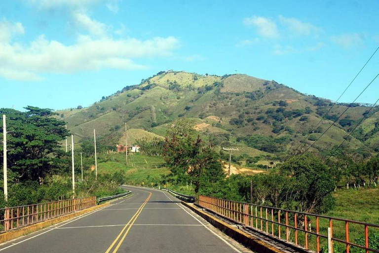 Whale Watching &amp; Safari Tour to Montaña Redonda