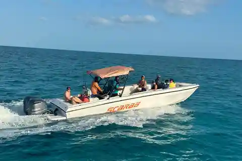 Nassau: Swim with the Pigs Adventure- Athol Island