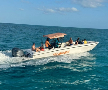 Nassau: Swim with the Pigs Adventure- Athol Island