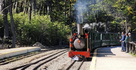 Ushuaia: parco nazionale e tour in treno per passeggeri della crociera