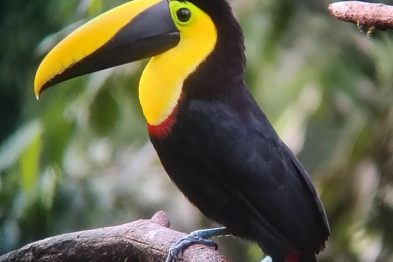 Quito: Mindo Cloud Forest 2-Day Tour with Meals & Hotel