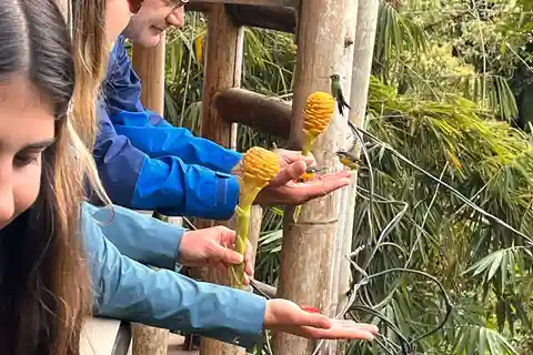Da Quito: Tour della foresta nuvolosa di Mindo di un giorno intero