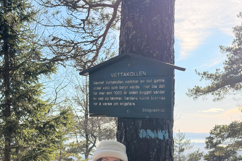 Oslo’s Most Beautiful Fjord Views - light hike version