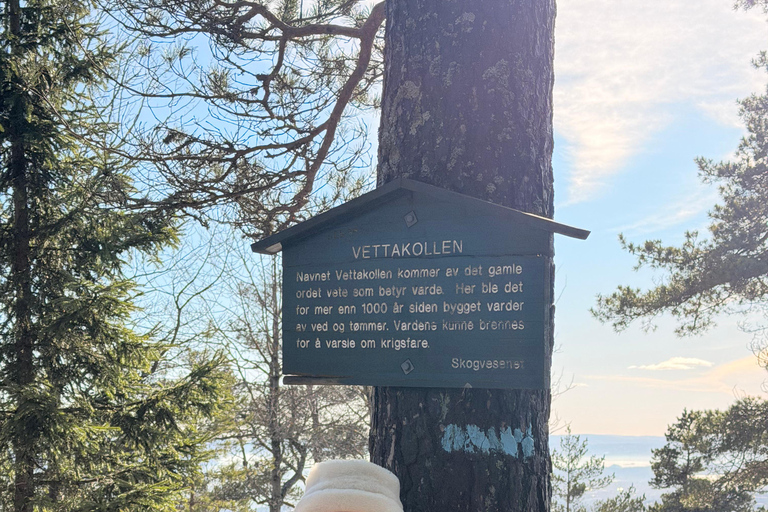 Oslo’s Most Beautiful Fjord Views - light hike version