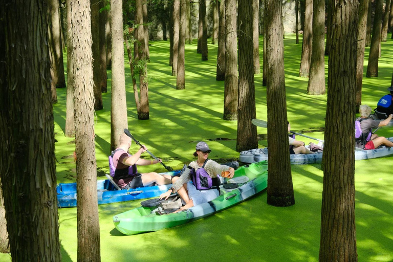 Hangzhou: Qingshan Lake(Matcha Lake) Water Forest Experience