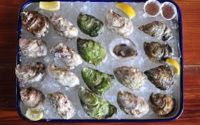 Bath, ME: Maine Oyster & Bubbles Tasting with a Local Expert