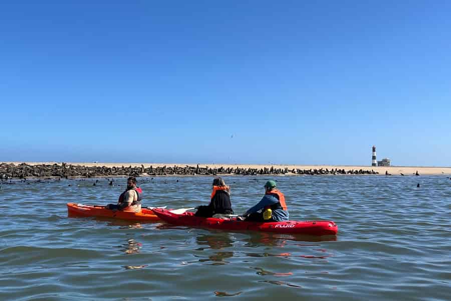 Walvis Bay: Ganztagestour mit Kajak und Sandwich Harbour. Foto: GetYourGuide Walvis Bay: Ganztagestour mit Kajak und Sandwich Harbour. Foto: GetYourGuide