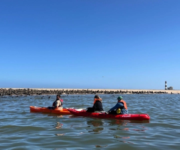 Walvis Bay: Kayaking and Sandwich Harbour Full-Day Tour