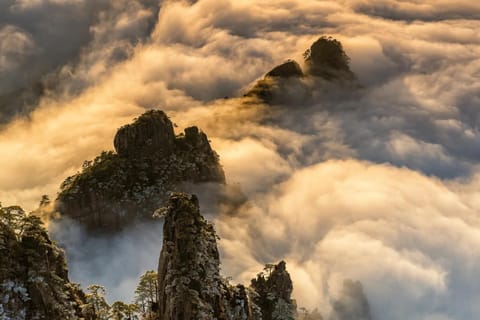 From Shanghai: 4-Day Hangzhou & Huangshan Private Tour
