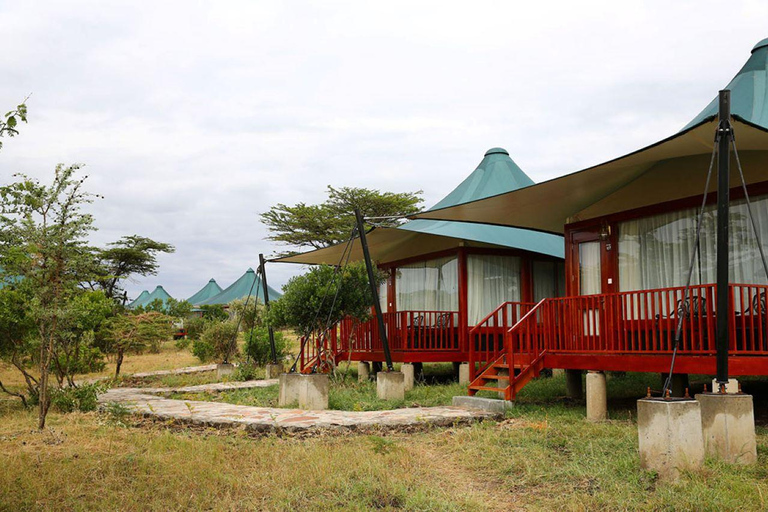 Övernattning Privat safari till Masai MaraPrivat safari med lyxigt boende i Masai Mara över natten