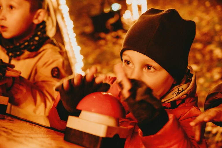 Budapest: biglietto d'ingresso per il Lumina Light Park Wonderworld