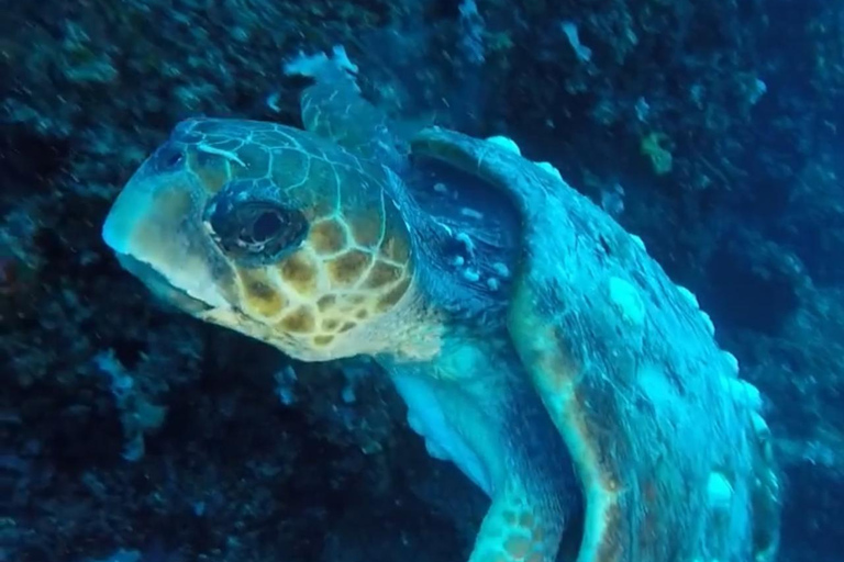 Adventure Tour - 2-Day Rafting and Scuba Diving in Albania